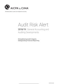 Image of Audit Risk Alert