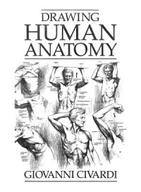 Image of Drawing Human Anatomy