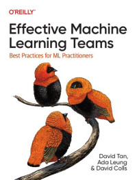 Image of Effective Machine
Learning Teams