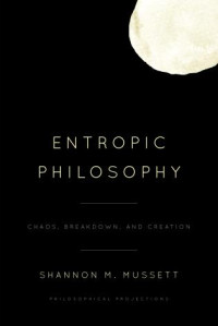 Image of Entropic Philosophy